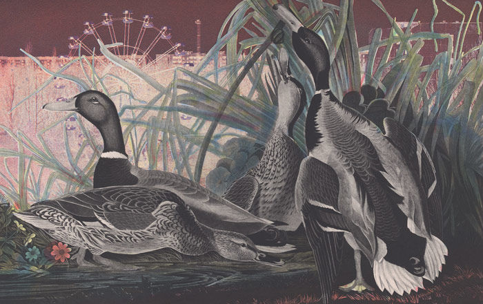 Detail view of a Matthew Day Jackson etching depicting geese amid a nuclear wasteland