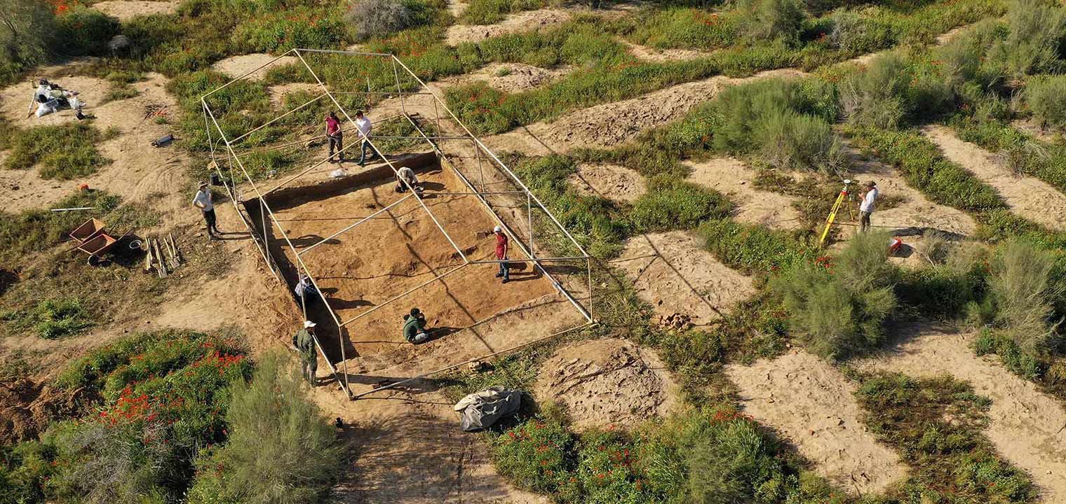 Aerial view of dig site