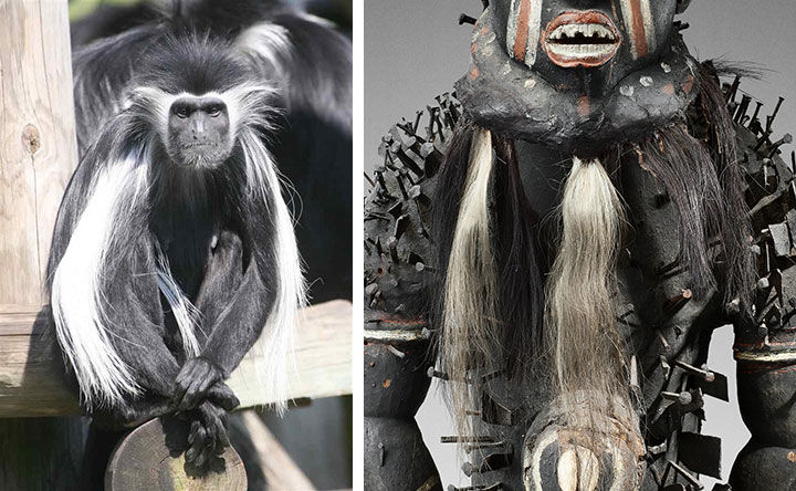 Composite image of an Angolan colobus monkey and a wooden power figure from the Yombe people