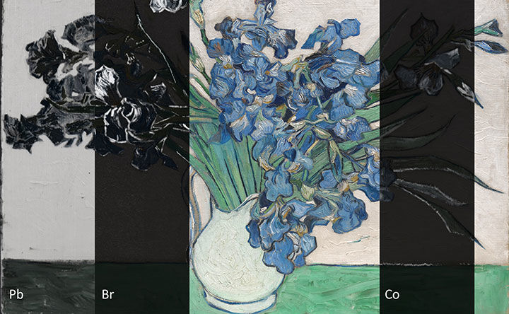 Detail of a paintings of iris flowers in a white ceramic pitcher against a white backdrop and mint green table-top. The overall image of the painting is composed of several different bands that image the painting through different scientific methods to reveal various qualities of the painting. The scientific imagery is black-and-white sometimes resembles an x-ray.