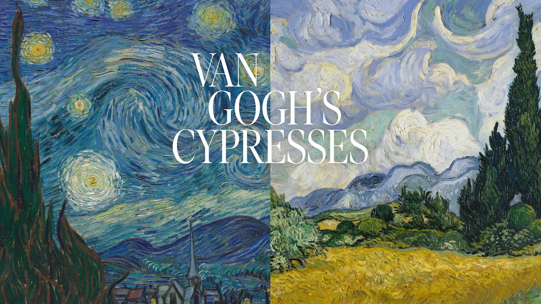 Bisected image of two paintings by VIncent Van Gogh featuring whorling scenes of dark blues and yellows, depicting the night sky and cypresses.